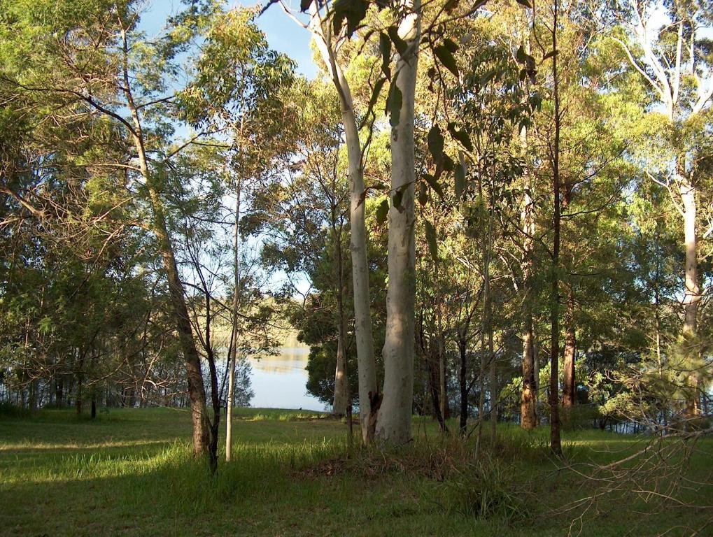 Lakeshore Lodge Milton Luaran gambar